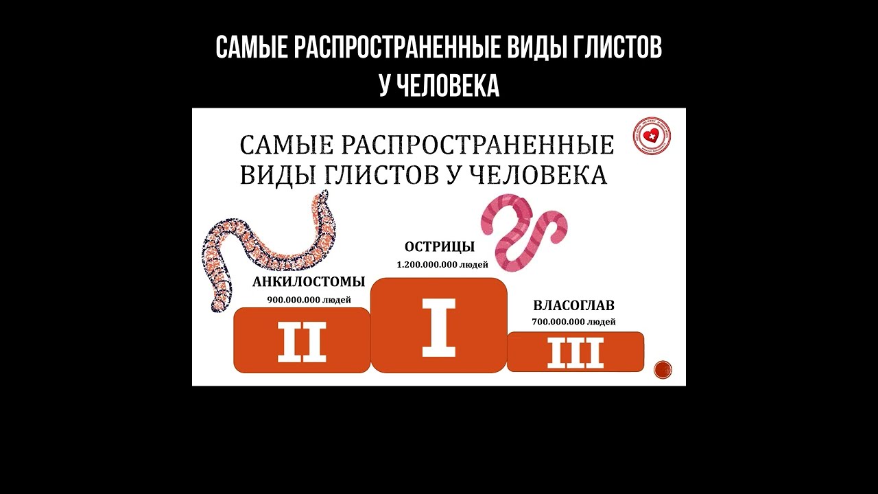 Самые распространенные виды глистов у человека смотреть онлайн