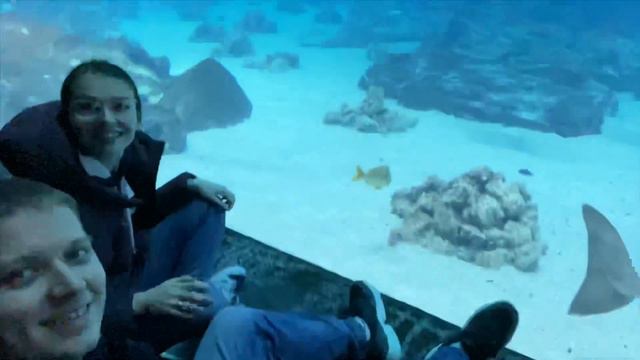 Atlanta. Серия номер 2. Georgia Aquarium. смотреть онлайн