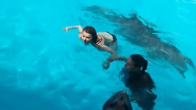 Подборка: Дельфины нападают на людей смотреть онлайн