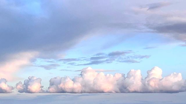 Стих: горькие и лишние слова смотреть онлайн