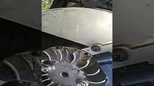 Муравей с зажиганием от бензопилы