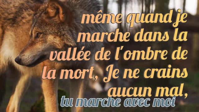 Frère Tshesko Kamba - Il est fidèle смотреть онлайн