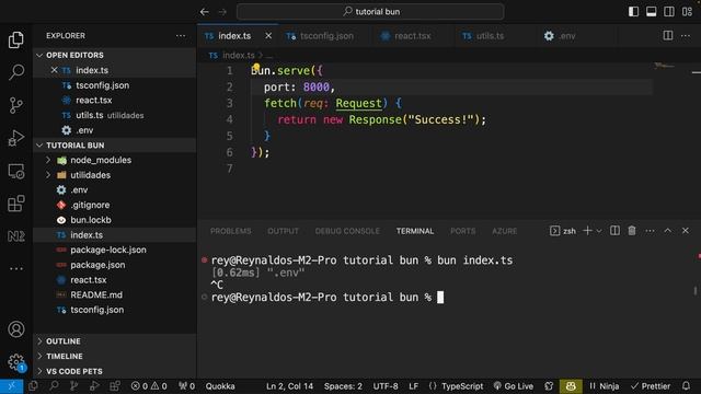 Introducción a Bun.js | Comparación inicial con Node.js смотреть онлайн