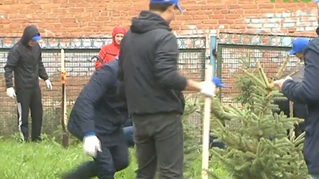 В Самаре продолжается программа по озеленению смотреть онлайн