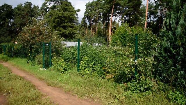 Так летом ещё не было смотреть онлайн