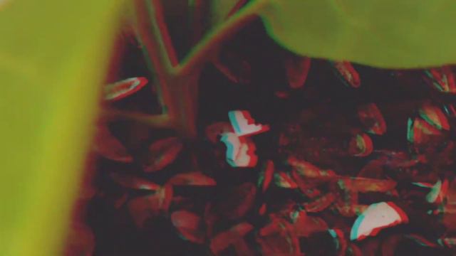 Махорка - быстрая версия смотреть онлайн