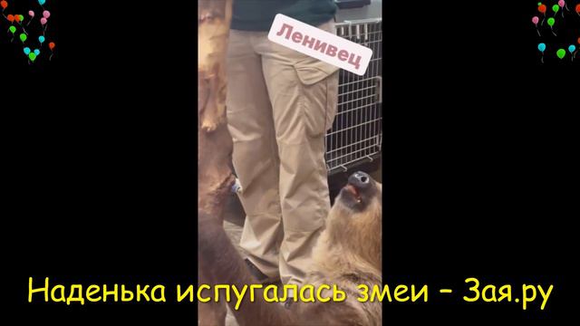 Татьяна Навка сходила с дочерью в экзотический зоопарк смотреть онлайн