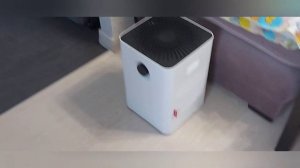 честный обзор мойки воздуха Boneco (бонеко)