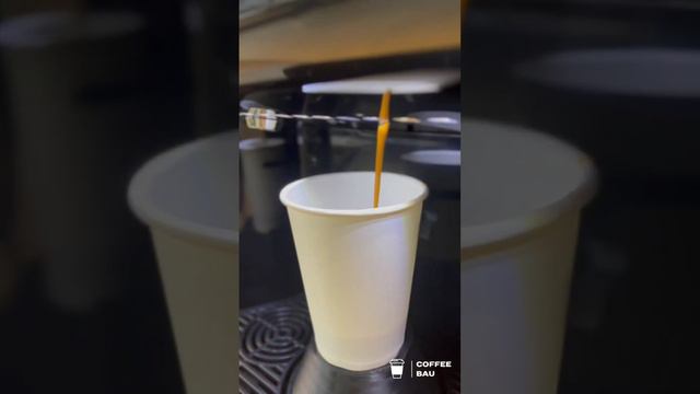 Лучшие кофейни самообслуживания от COFFEE BAU смотреть онлайн