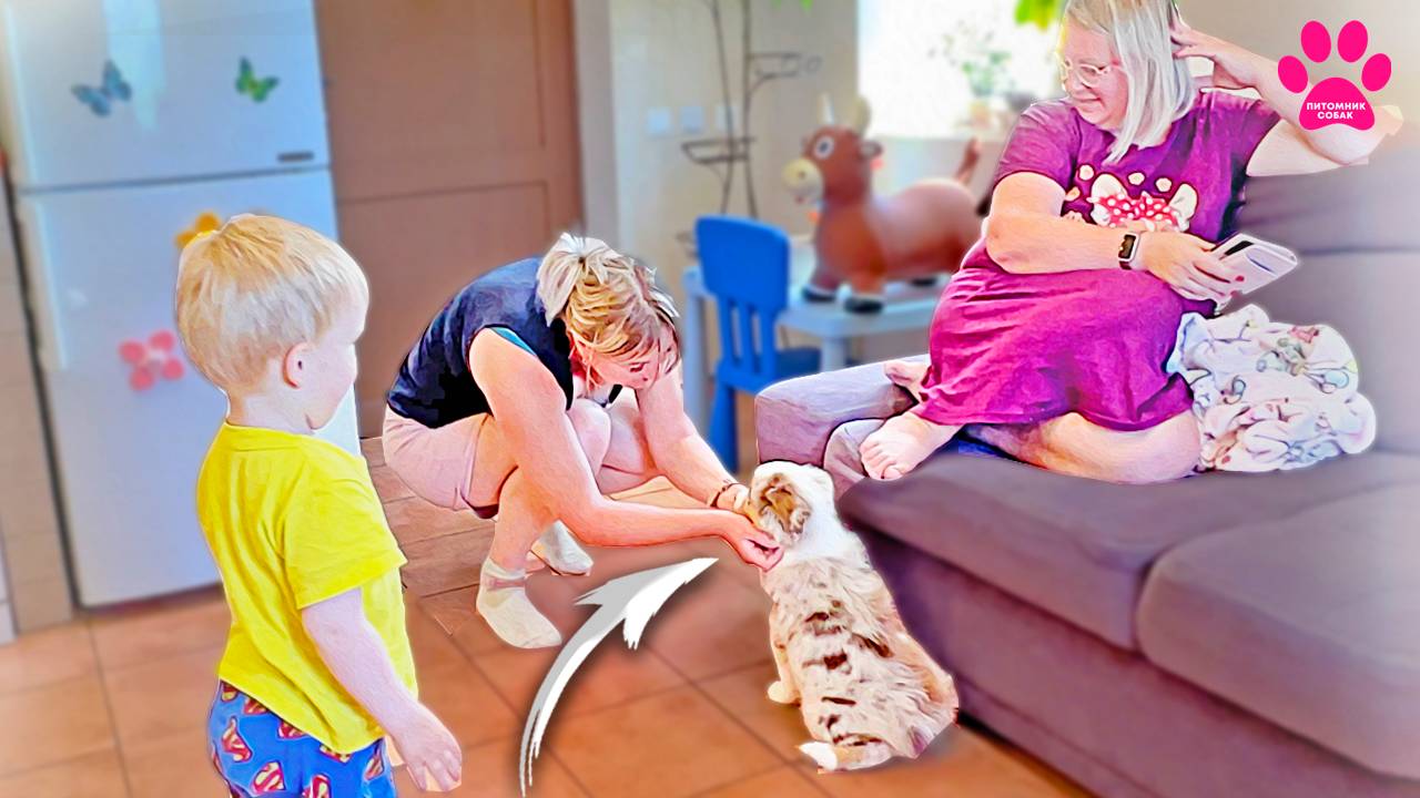 Знакомство с новой собакой! Встреча Аси с Микки, Масиком и Аней! Как прошли первые дни вместе? смотреть онлайн