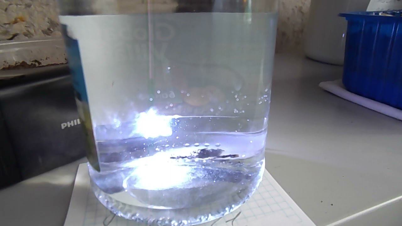 10 Тестирование сухого осадка с эфиппиями дафний моина. смотреть онлайн