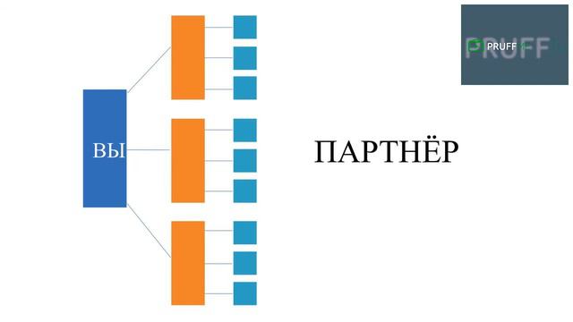 Вебинар Sattva смотреть онлайн
