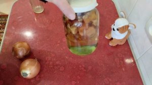 Как приготовить подкормку из луковой шелухи???