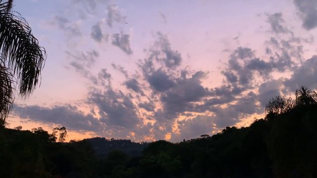 Рассвет в джунглях смотреть онлайн