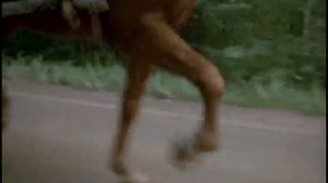 За спичками "Черте-что"  FIN