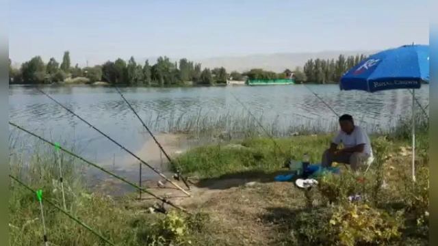 Тигровая балка / Рыбалка на белого амура / Река Пяндж / Лето / Рыбалка в Средней Азии смотреть онлайн