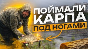 ОТКРЫТИЕ СЕЗОНА 2024 ПО КАРПОВОЙ ЛОВЛЕ НА ДИКАРЕ. Ловля карпа весной на Pop-Up!