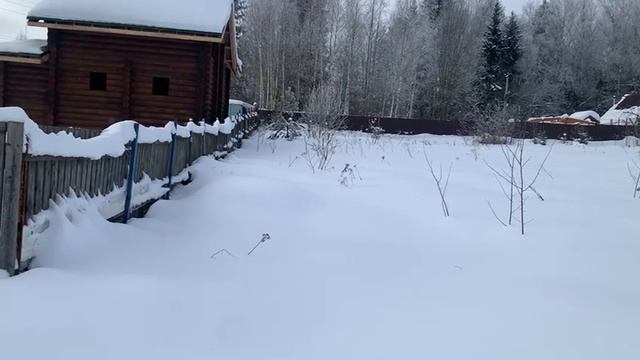 Видео 2461 смотреть онлайн