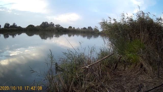 Сом на 4,5 кг. Супер рыбалка на рыбца и сома .Краснодарский край река протока. смотреть онлайн
