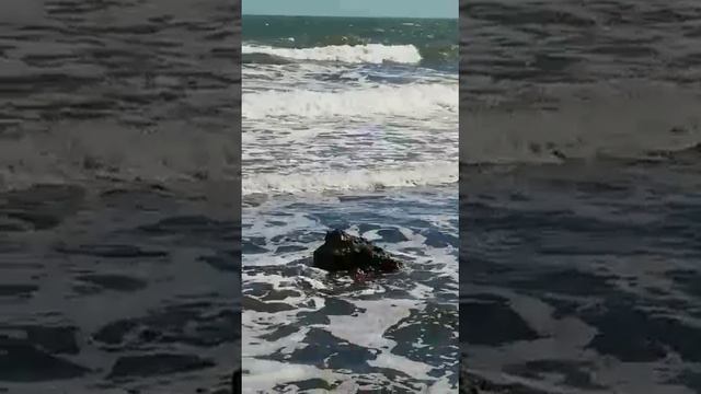 Креветочка смотреть онлайн