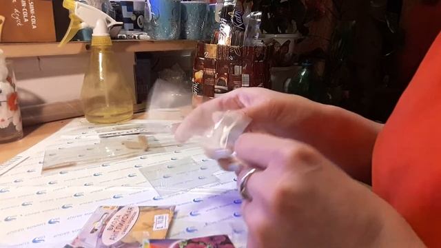 Бирки для цветов и овощей своими руками за 5 мин