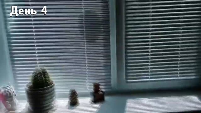 Чередниченко Дарья 621 смотреть онлайн