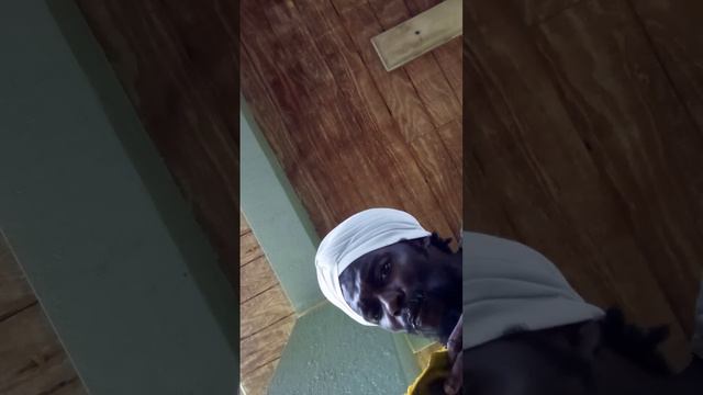 Key lime 🍋squeezed in Mango 🥭 with hibiscus 🌺 water ! смотреть онлайн