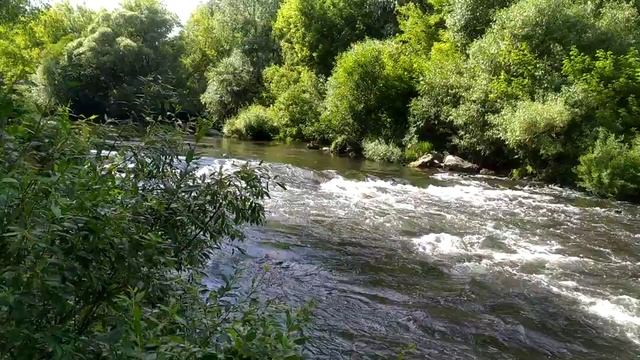 Река Проня,Окрестности реки у села Незнаново, Рязанская Область. Деревня смотреть онлайн