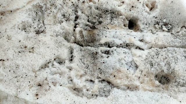 Промывка топливного бака Т-25. Ремень на насос ГОРу и самодельные штуцера для рулевого гидроцилиндр смотреть онлайн