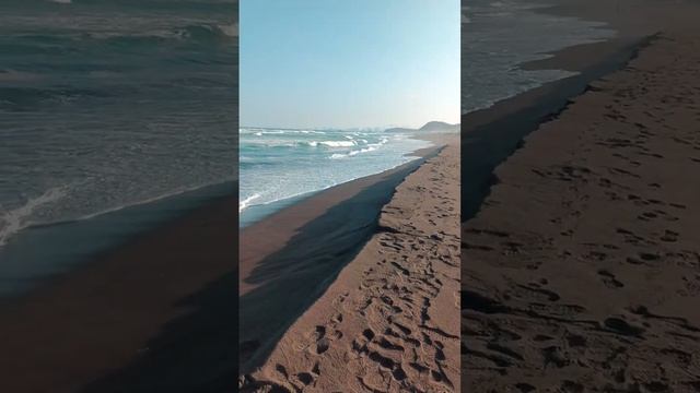 Петропавловск-Камчатский. Прилетел не в сезон (( смотреть онлайн