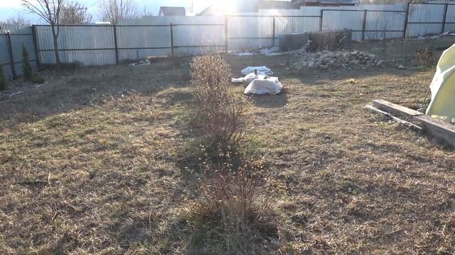 Мой сад. Полный обзор 28 соток дачи смотреть онлайн