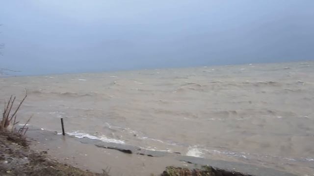 MVI_1617 смотреть онлайн