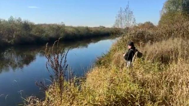 Мороз, солнце, река и три товарища. смотреть онлайн