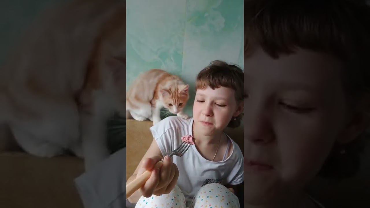 Симба попрошайка смотреть онлайн
