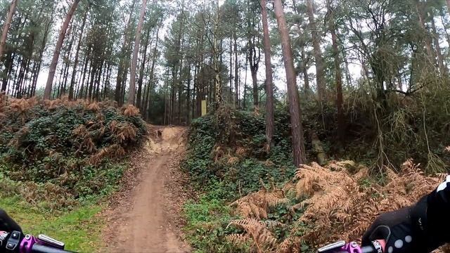 Squirrel Scamper Pit Thetford Forest Then & Now смотреть онлайн