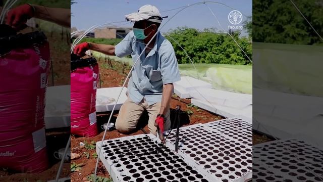 Борьба с изменением климата и права человека: создание устойчивых агропродовольственных систем