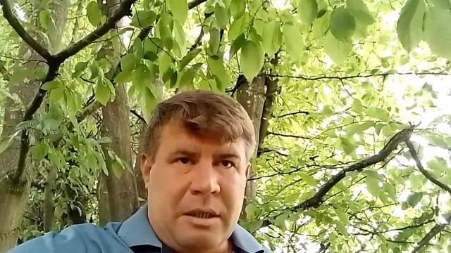От этого им становится немного грустно. смотреть онлайн