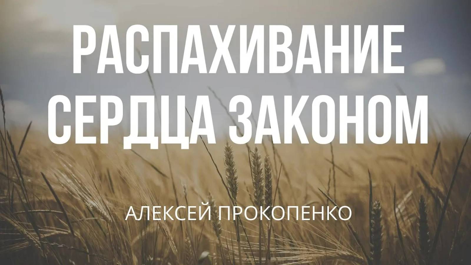 15 - Распахивание сердца законом ｜ Алексей Прокопенко смотреть онлайн