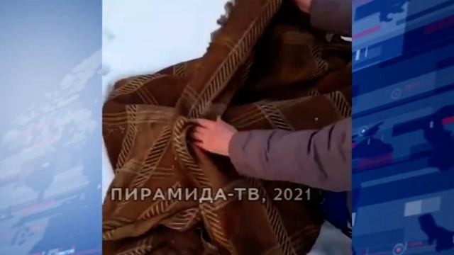 Собаки в Назаровском районе смотреть онлайн