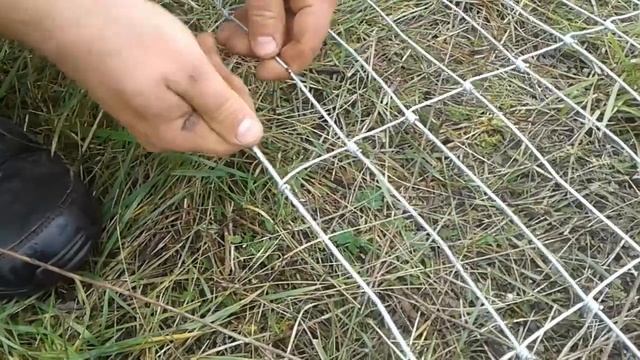 Установка сетки Казачка на голубике смотреть онлайн