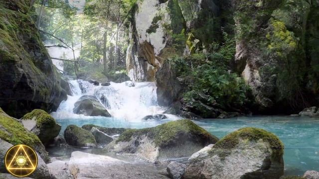 ПОТРЯСАЮЩИЙ СТИХ. ЛЮБИМЫЕ СТИХИ О ЖИЗНИ.НИКОГДА НИ О ЧЕМ НЕ ЖАЛЕЙТЕ. А. ДЕМЕНТЬЕВ. смотреть онлайн