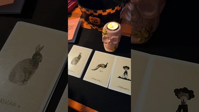 THE LITERARY WITCHES ORACLE READING смотреть онлайн