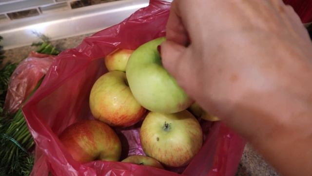 МУЖ на РАБОТЕ, ЖЕНА в ЗАБОТАХ/ 5 ДНЕЙ из ЖИЗНИ ЖЕНЩИНЫ смотреть онлайн