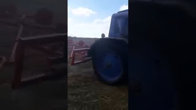 Грабли-ворошилки навесные D-Pol Беларусь спаренные смотреть онлайн
