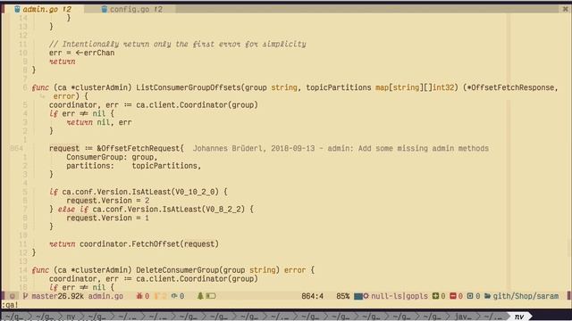 Install github/ray-x/nvim смотреть онлайн