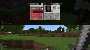 Minecraft_вдвоем на одном экране ps4