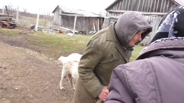 НАПИЛАСЬ КОЗЬЕГО МОЛОКА У НИНЫ ФЕДОРОВНЫ!!! смотреть онлайн