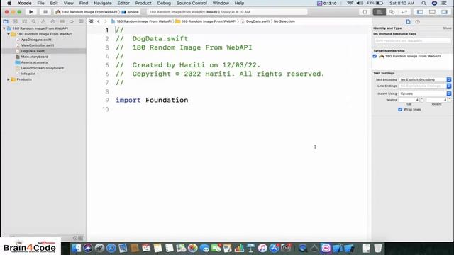Create iOS Application to access WebAPI for random images in Swift 5 XCode | Hindi | Learn iOS смотреть онлайн