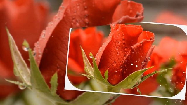 С днем рождения подруга красивое поздравление. Музыкальная открытка подруге смотреть онлайн