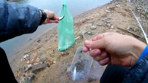 Кормушка-сетка с Али экспресс. Наловил на засол. Mesh with feeder